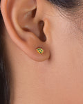 Topos Hoja con Circones